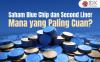 Saham Blue Chip dan Second Liner, Mana yang Paling Cuan?
