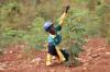 Jaga Kelestarian Alam, PT GAG Nikel Jalankan Program Ramah Lingkungan dengan Hydroseeding