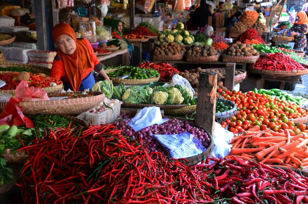 Ketahanan Pangan  Indonesia  Ini Tantangannya di  Masa Depan 