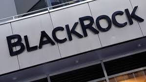BlackRock Berencana Investasi Rp170 Triliun dalam IPO SpaceX