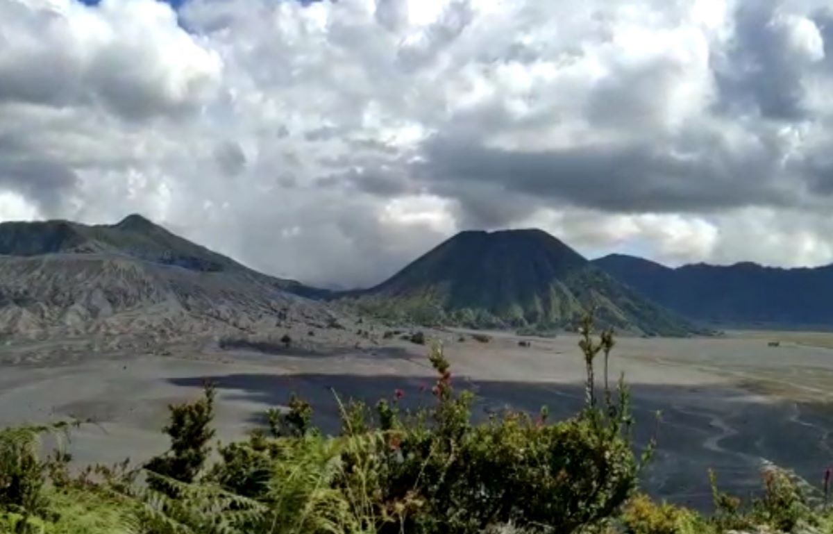 Kebakaran Meluas, Wisata Gunung Bromo Ditutup Total Kebakaran Meluas, Wisata Gunung Bromo Ditutup Total