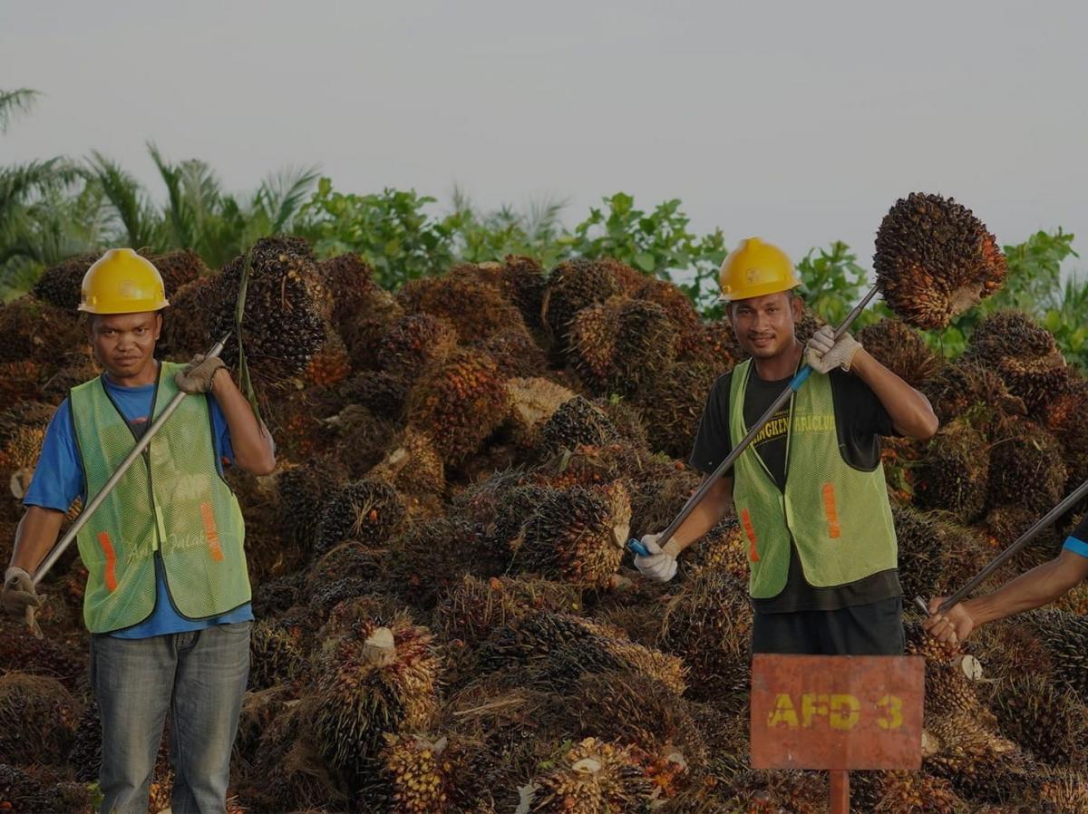 Transaksi Nego Jumbo Rp18 Triliun di FAP Agri (FAPA) Milik Keluarga Fangiono Transaksi Nego Jumbo Rp18 Triliun di FAP Agri (FAPA) Milik Keluarga Fangiono