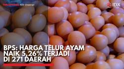 BPS: Harga Telur Ayam Naik 5,26% Terjadi di 271 Daerah,(Sumber: IDX CHANNEL)