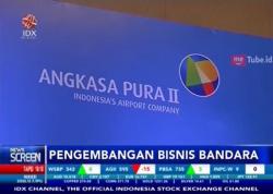 Pengembangan Bisnis Bandara