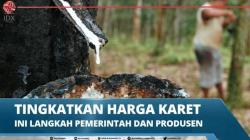 Harga Karet