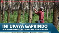Ini Upaya Gapkindo Dukung Pemerintah Dongkrak Harga Karet