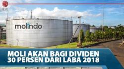 MOLI Akan Bagi Dividen 30 Persen Dari Laba 2018