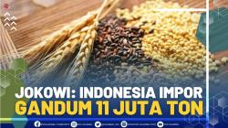 Jokowi: Indonesia Impor Gandum 11 Juta Ton.(SUMBER : IDX CHANNEL)