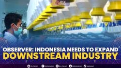 Observer: Indonesia Needs to Expand Downstream Industry,(Sumber: IDX CHANNEL)