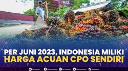 Per Juni 2023, Indonesia Miliki Harga Acuan CPO Sendiri,(Sumber: IDX CHANNEL)