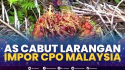 AS Cabut Larangan Impor CPO Malaysia,(Sumber: IDX CHANNEL)