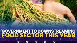 Government to Downstreaming Food Sector this Year. (Sumber : IDXChannel)