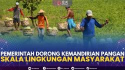 Pemerintah Dorong Kemandirian Pangan Skala Lingkungan Masyarakat. (Sumber : IDXChannel)