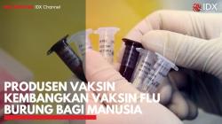 Produsen Vaksin Kembangkan Vaksin Flu Burung Bagi Manusia. (Sumber : IDXChannel)