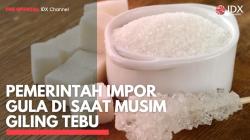 Pemerintah Impor Gula di Saat Musim Giling Tebu. (Sumber : IDXChannel)