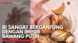 RI Sangat Bergantung dengan Impor Bawang Putih. (Sumber : IDXChannel)