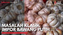 Masalah Klasik Impor Bawang Putih. (Sumber : IDXChannel)