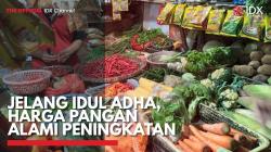 Jelang Idul Adha, Harga Pangan Alami Peningkatan,(Sumber: IDX CHANNEL)