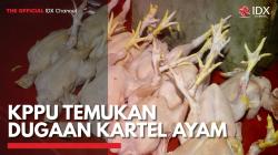 KPPU Temukan Dugaan Kartel Ayam,(Sumber: IDX CHANNEL)