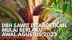 DBH Sawit Ditargetkan Mulai Berlaku Awal Agustus 2023. (Sumber : IDXChannel)