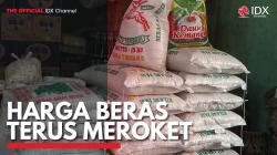 Harga Beras Terus Meroket. (Sumber : IDXChannel)