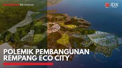 Polemik Pembangunan Rempang Eco City. (Sumber : IDXChannel)