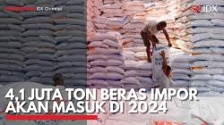 4,1 Juta Ton Beras Impor akan Masuk di 2024. (Sumber : IDXChannel)