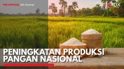 Peningkatan Produksi Pangan Nasional. (Sumber : IDX Channel)