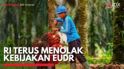 RI Terus Menolak Kebijakan EUDR,(Sumber: IDX CHANNEL)