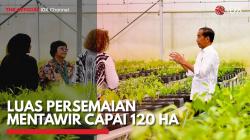 Luas Persemaian Mentawir Capai 120 HA,(Sumber: IDX CHANNEL)