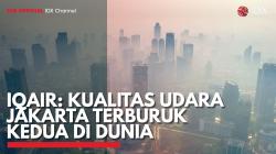 IQAir: Kualitas Udara Jakarta Terburuk Kedua di Dunia. (Sumber : IDX Channel)
