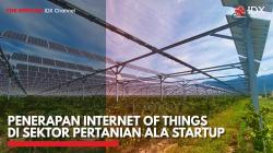 Penerapan Internet of Things di Sektor Pertanian ala Startup,(Sumber: IDX CHANNEL)