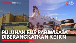 Puluhan Bus Pariwisata Diberangkatkan ke IKN. (Sumber : IDX Channel)