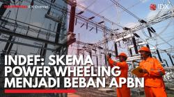 Indef: Skema Power Wheeling Menjadi Beban APBN. (Sumber : IDX Channel)