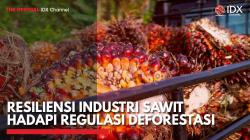 Resiliensi Industri Sawit Hadapi Regulasi Deforestasi,(Sumber: IDX CHANNEL)