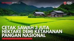 Cetak Sawah 3 Juta Hektare Demi Ketahanan Pangan Nasional. (Sumber : IDX Channel)