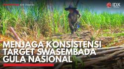 Menjaga Konsistensi Target Swasembada Gula Nasional. (Sumber : IDX Channel)