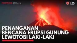 Penanganan Bencana Erupsi Gunung Lewotobi Laki-Laki. (Sumber : IDX Channel)