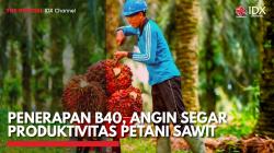 Penerapan B40, Angin Segar Produktivitas Petani Sawit,(Sumber: IDX CHANNEL)