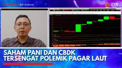 Saham PANI dan CBDK Tersengat Polemik Pagar Laut,(Sumber: IDX CHANNEL)