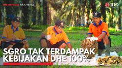 SGRO Tak Terdampak Kebijakan DHE 100%. (Sumber : IDX Channel)