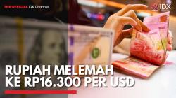 Rupiah Melemah ke Rp16.300 per USD,(Sumber: IDX CHANNEL)