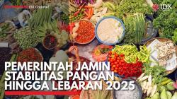 Pemerintah Jamin Stabilitas Pangan hingga Lebaran 2025. (Sumber : IDX Channel)