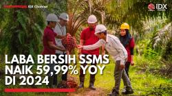 Laba Bersih SSMS Naik 59,99% YoY di 2024,(Sumber: IDX CHANNEL)