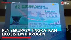 PLN Berupaya Tingkatkan Ekosistem Hidrogen,(Sumber: IDX CHANNEL)