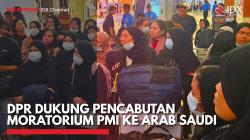 DPR Dukung Pencabutan Moratorium PMI ke Arab Saudi,(Sumber: IDX CHANNEL)