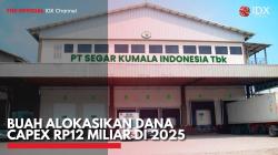 BUAH Alokasikan Dana Capex Rp12 Miliar di 2025. (Sumber : IDX Channel)