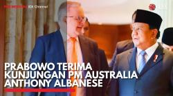 Prabowo Terima Kunjungan PM Australia Anthony Albanese. (Sumber : IDX Channel)