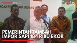 Pemerintah Tambah Impor Sapi 184 Ribu Ekor,(Sumber: IDX CHANNEL)