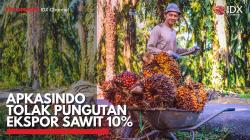 Apkasindo Tolak Pungutan Ekspor Sawit 10%. (Sumber : IDX Channel)